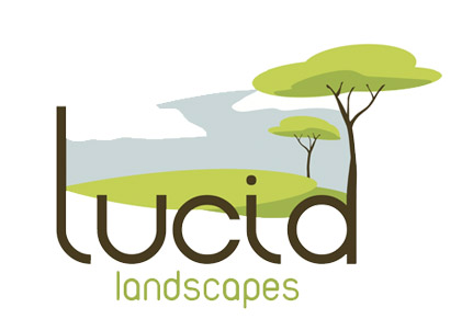Lucid Landscapes